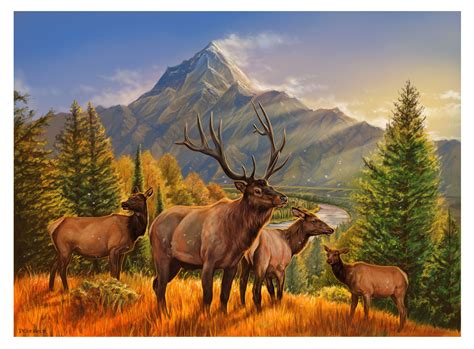 Elk Mountain | Hunting art, Wildlife paintings, Wildlife