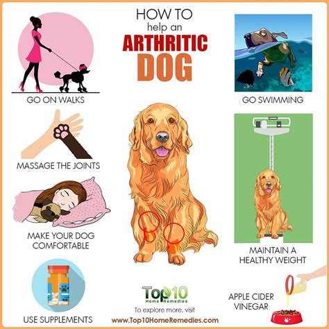 What Helps Dogs With Arthritis