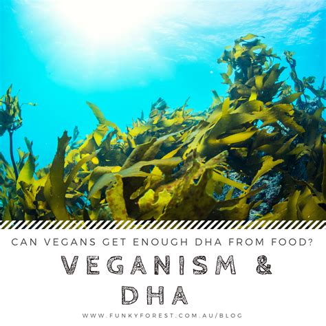 Can vegans get enough DHA from food?