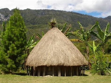 Honai, traditional House Papua | Unique, Exotic, Funny and More