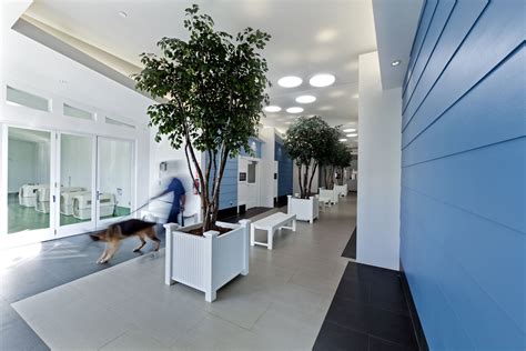 animal shelter interior - Google Search Screen Plants, Shelter Design ...