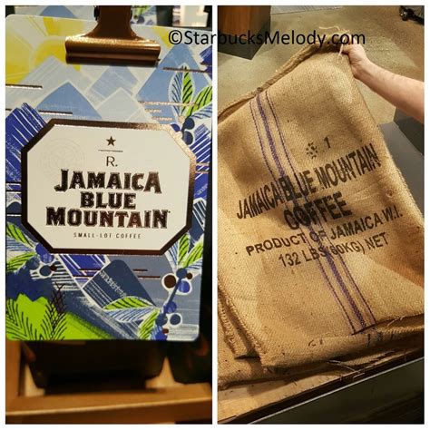 Starbucks Jamaica Blue Mountain