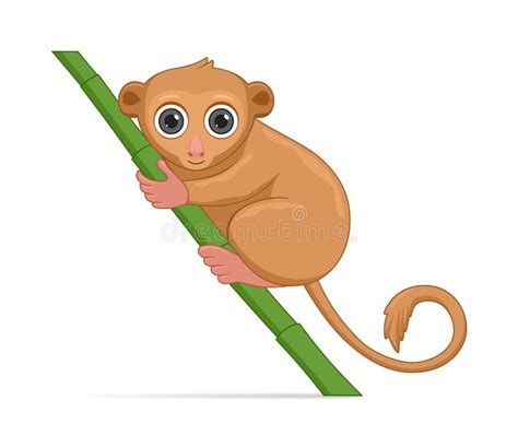 Tarsier Monkey Stock Illustrations – 334 Tarsier Monkey Stock ...