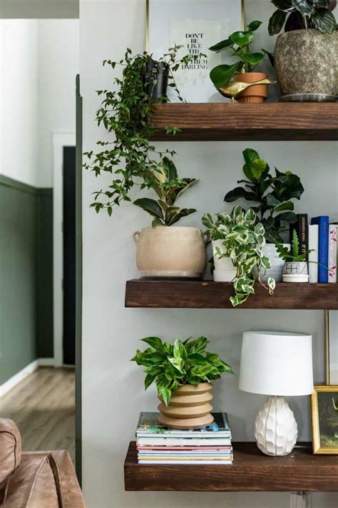 Plant Wall Shelf Ideas {Plant Display Tips!} – Love & Renovations