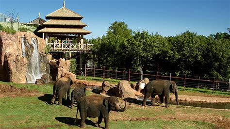 Sanctuary Asia at Oklahoma City Zoo named 7th Best Zoo Exhibit in ...