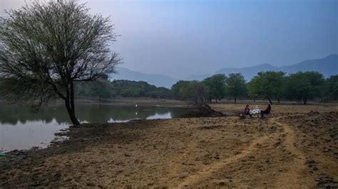 Top things to do in Sariska National Park