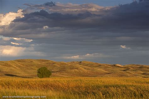 Hills of Gold | Valentine National Wildlife Refuge, Nebraska Sandhills ...