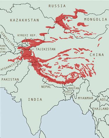 Snow Leopard Conservation -- Why Monitor Snow Leopards?