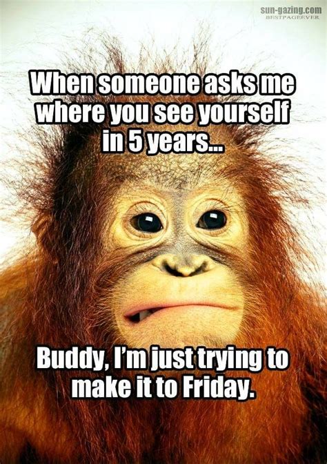 Funny Monkey Sayings Humor - Quotes About Monkeys For Babies ...