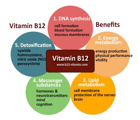 Vitamin B12 Benefits