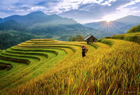 Mu Cang Chai Rice Terraces, Vietnam