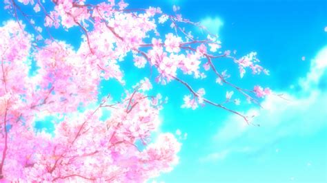 Sakura Tree Wallpaper 1920X1080 Anime