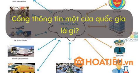 Cổng thông tin một cửa quốc gia là gì 2024? - HoaTieu.vn