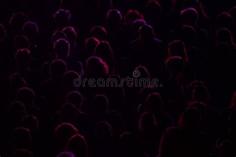 Audience Silhouette Crowd Public Spectacle Stock Image - Image of ...