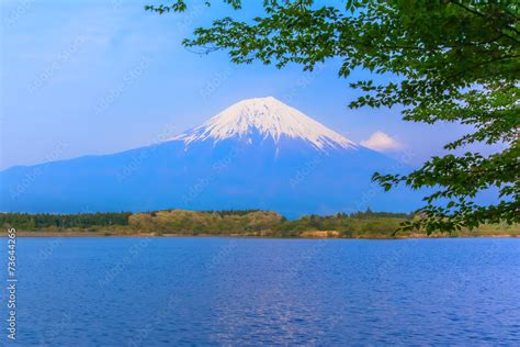 Cherry blossom tree and Mount Fuji Stock Photo | Adobe Stock