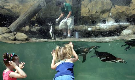 Akron Zoo - Summer Fun Guide