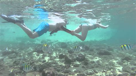 Poipu beach snorkeling GoPro Hero4 Sessions camera - YouTube