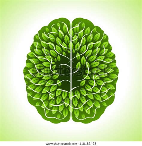 Human Brain Green Thoughts Stock Vector (Royalty Free) 118183498 ...