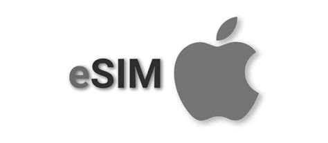 How To Use Dual SIM and eSIM on iPhone 11, XR, SE, & XS - AppleToolBox