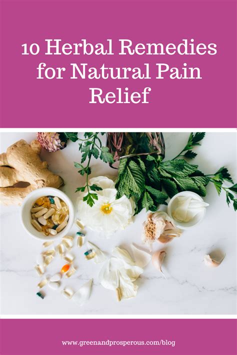 10 Herbal Remedies for Natural Pain Relief — Green and Prosperous