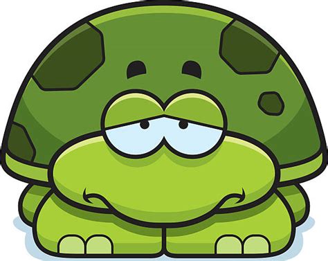 Royalty Free Sad Turtle Clip Art, Vector Images & Illustrations - iStock