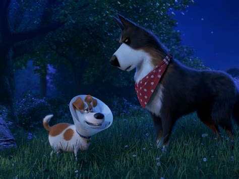 The Secret Life of Pets 2 trips itself up with divided focus ...