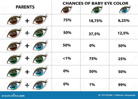 analyzing eye color genetics chart and what you need to know eye - eye ...