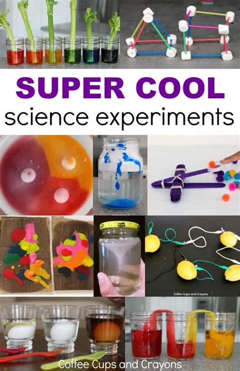 Fun Science Experiments With Simple Home Materials - Fun Guest