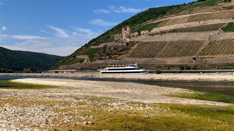 Low Water Levels Disrupt European River Cruises, a Favorite of U.S ...