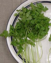 Herb - Chervil - St. Clare Heirloom Seeds