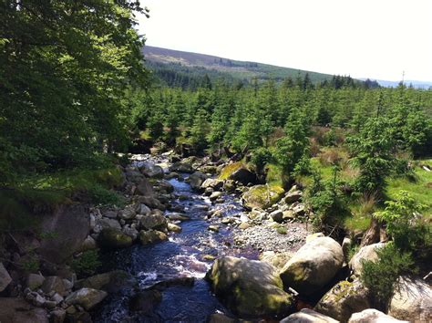 St Kevins Way, a Walk to Glendalough in County Wicklow