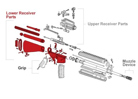 AR-15 Parts & Components | Diagram of Rifle Breakdown