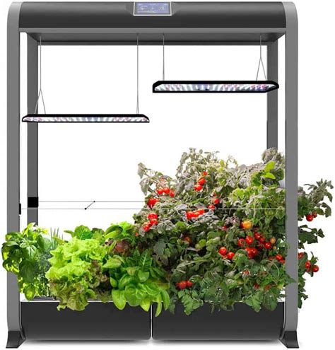 Indoor Gardening Kits - Our Top 10 Picks | Indoor Gardening