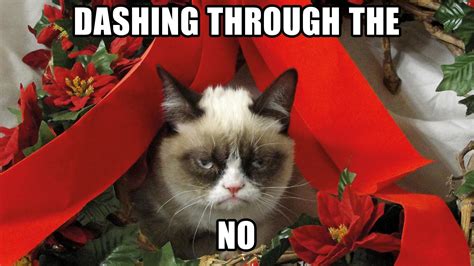 Grumpy Cat Christmas Wallpapers - Top Free Grumpy Cat Christmas ...