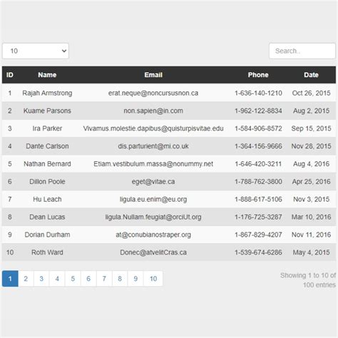 Streamline Your Website with Bootstrap Table Pagination (Source code)