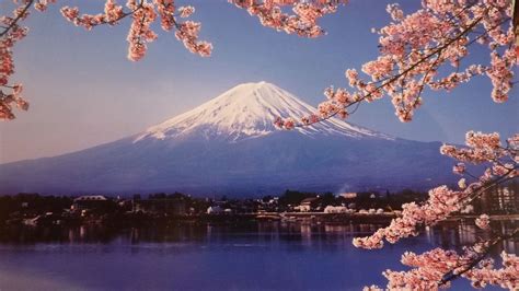 Mount Fuji Cherry Blossom