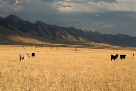 Northern Great Plains - Fourth National Climate Assessment