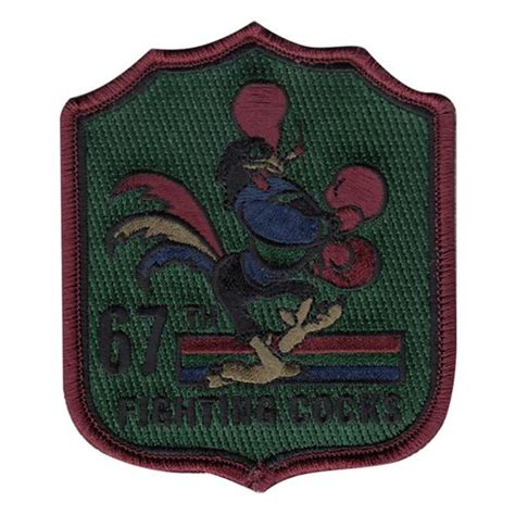 67 FS Heritage Subdued Patch | 67th Fighter Squadron Patches