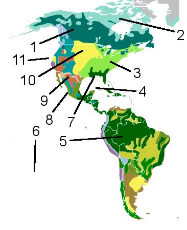 Biome Map of North America Diagram | Quizlet