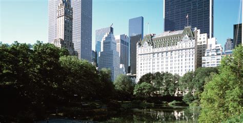 New York Hotels | The Plaza