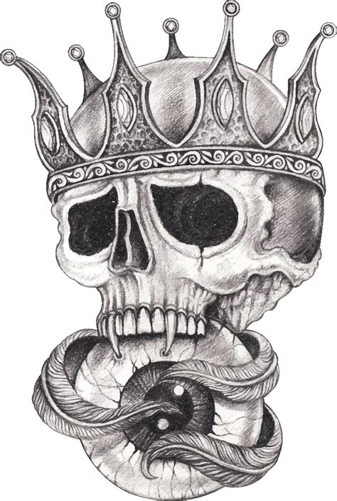 Skull Sketches Drawings