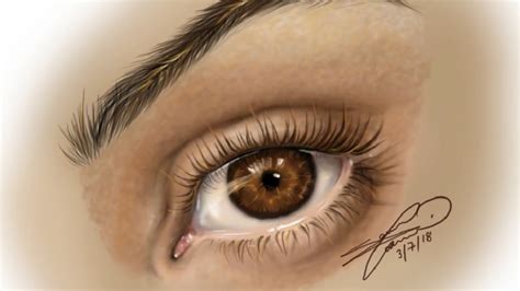 Realistic Brown Eye In Color - Digital Speed Drawing - YouTube