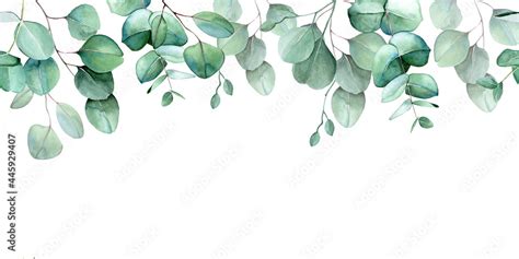 seamless border, frame of eucalyptus leaves and branches. watercolor ...