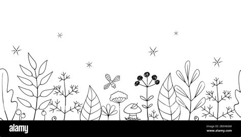 Vector Hand Drawn Seamless Floral Border Of Leaves, Plants and Flowers ...