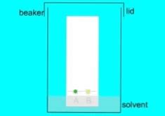 The Principle of Paper Chromatography: A Comprehensive Guide