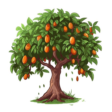 Mango Tree Vector Png Images Mango Tree Mango Clipart Tree Clipa ...