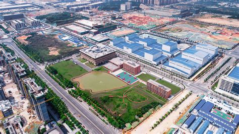 BASF’s Chinese firm to up CAM output to meet lithium-ion battery demand ...