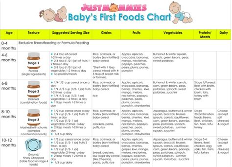 Baby's First Foods - Stage 2 - Caitlin Houston