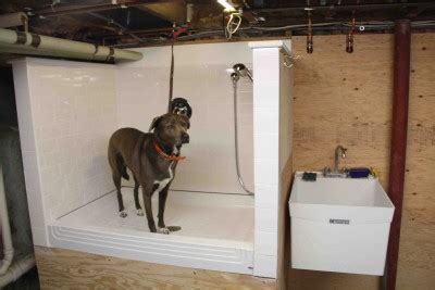 How To Build A Dog Wash Station - Concord Carpenter