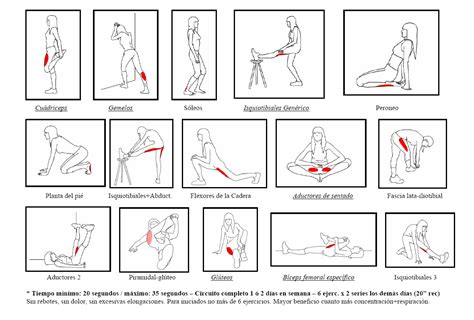 Rutina para piernas en casa - Ejercicios En Casa